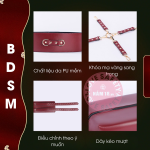 Bộ Dụng Cụ Bạo Dâm Slave PU
