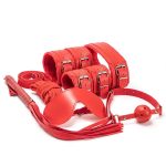 Bộ Dụng Cụ Bạo Dâm SM Set 10 Món BDSM