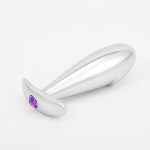 Phích Cắm Hậu Môn Penis Inox