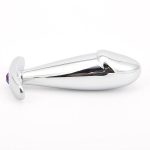Phích Cắm Hậu Môn Penis Inox