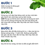 Bao Cao Su Hương Bạc Hà Sagami Xtreme Spearmint Mát Lạnh
