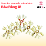 Vòng Đeo Silicon Râu Rồng - Bi Cao Cấp